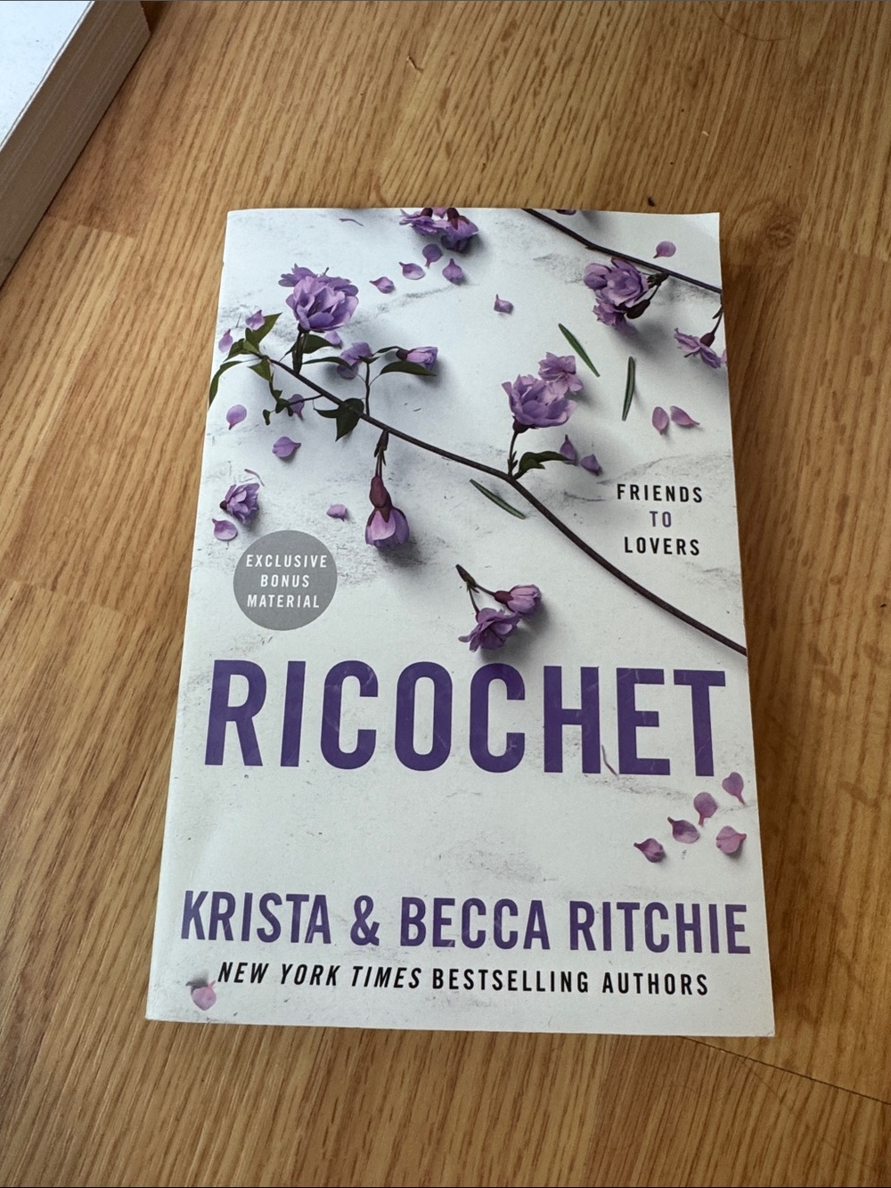 Ricochet • Krista & Becca Ritchie • Addicted Series •Paperback